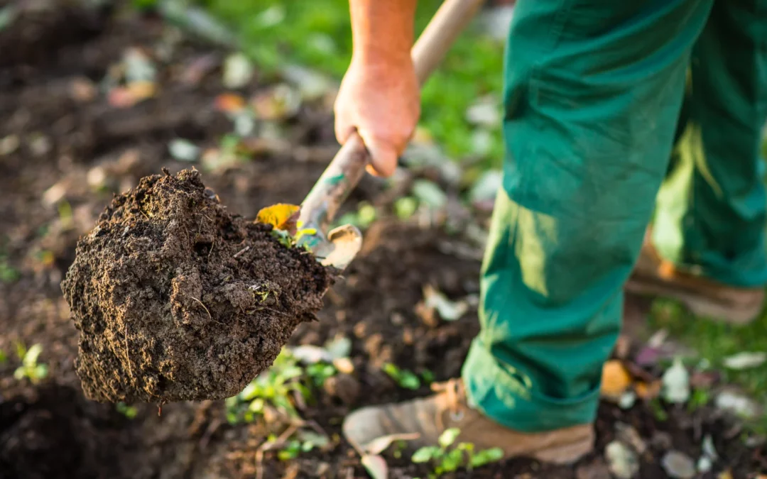 Trädgårdsarbete – En guide till effektivt trädgårdsarbete med rätt trädgårdsredskap